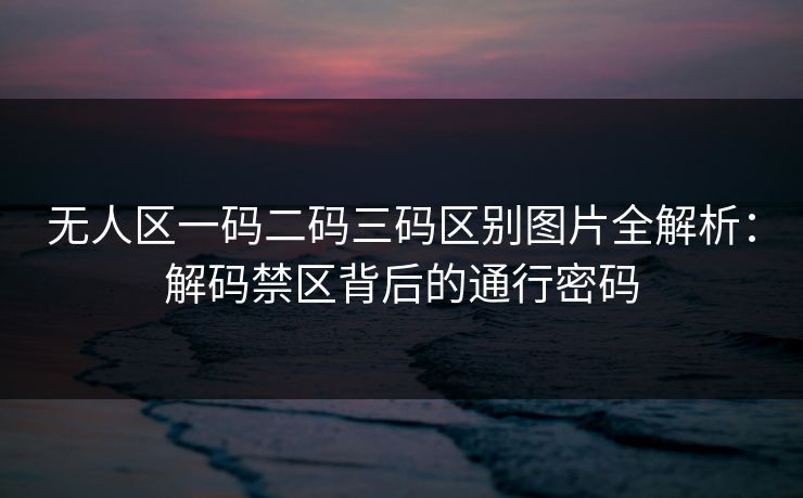 无人区一码二码三码区别图片全解析：解码禁区背后的通行密码